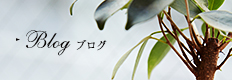 Blog ブログ